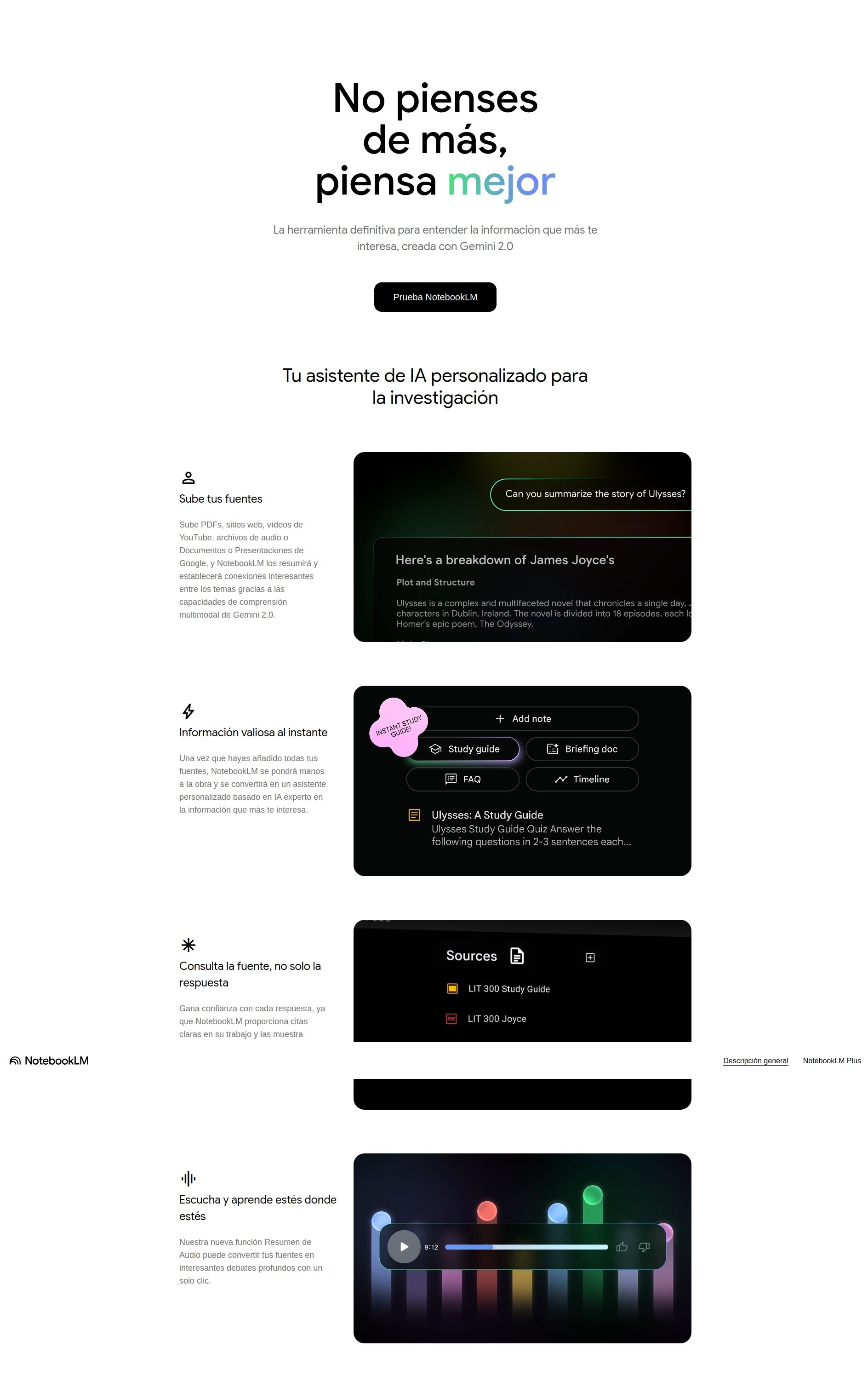 Captura de pantalla NoteBookLM