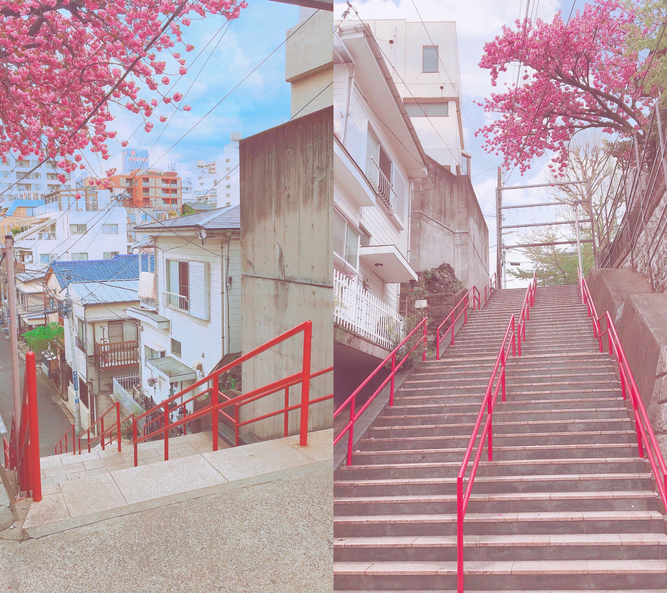 Kimi No Na Wa "Your Name" The Iconic Staircase at Suga Shrine in ...