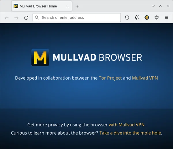 Miniatura del post: Mullvad Browser: Navega de Forma Anónima y Protege tu Privacidad